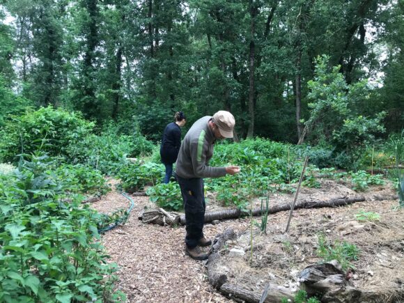  L′observation est centrale en permaculture